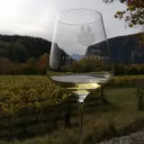 Calice di vino bianco con stemma, sullo sfondo vigneti autunnali e montagne. Un brindisi degno di un feldmaresciallo.