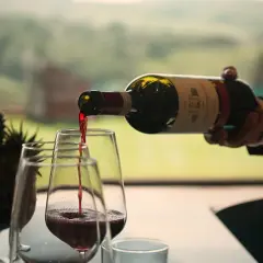 Versando vino rosso in un calice, un assaggio dei diversi tipi di vitigni con un paesaggio verde sullo sfondo.