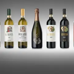 Bottiglie di vino Malvira, tra cui bianchi, rossi e uno spumante, con etichette artistiche che raccontano storie.