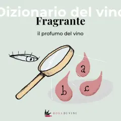 Dizionario del vino: "Fragrante" il profumo del vino. Un occhio e una lente d'ingrandimento analizzano gocce con lettere a, b, c.