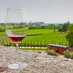 Un calice di vino rosso, con il suo intenso colore che evoca il **Recioto significato**, si staglia su un paesaggio di vigneti verdi e dolci colline.