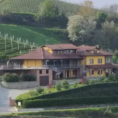 Villa gialla con tetto in tegole rosse, circondata da vigneti e alberi in fiore. Un viale conduce all'ingresso, ricordando un antico bricco maiolica.