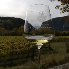 Calice di vino bianco con stemma, sullo sfondo vigneti autunnali e montagne. Un brindisi degno di un feldmaresciallo.