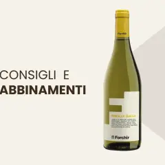 Consigli e abbinamenti per la Ribolla Gialla Forchir, un vino bianco ideale con piatti di pesce e crostacei.