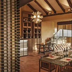 Cantina moderna con scaffali pieni di bottiglie di vino, un tavolo da degustazione pronto e un paesaggio **reverdito** fuori dalla finestra.
