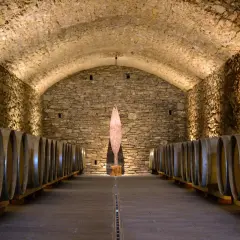 Le cantine Chianti, con le loro volte in pietra e file di botti, custodiscono il tesoro del vino.