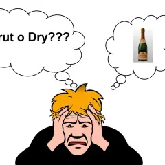 Persona confusa tra "Brut" e "Dry" per lo champagne, cercando il significato giusto.