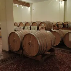 Le cantine Bosco Nestore, un'atmosfera d'altri tempi con botti di legno e bottiglie di vino.