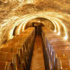 Cantine sotterranee illuminate, piene di botti di legno. Un'esperienza indimenticabile per la tua visita cantine Montalcino.