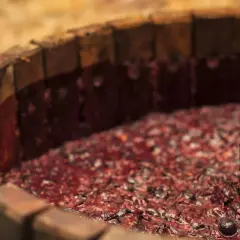 Il mosto, succo d'uva appena pigiato, riempie un torchio di legno, pronto per la fermentazione.