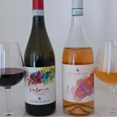 Due bottiglie di vino, una rossa e una rosata, con i loro calici. La **Masseria del Feudo** presenta le sue etichette colorate.