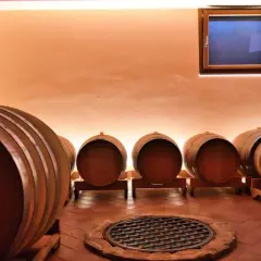 Botti di legno in una cantina del Friuli Venezia Giulia, pronte ad accogliere il vino.