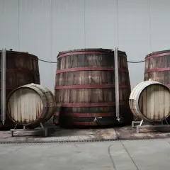 Grandi botti di legno e barili più piccoli, pronti per l'affinamento del vino. Un'atmosfera di tradizione e pazienza.