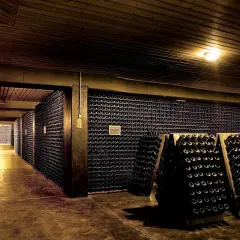 Corridoio di una cantina italiana, con scaffali pieni di bottiglie di vino che si estendono a perdita d'occhio.