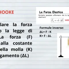 Diagram illustrating Hooke's Law with springs, weights, and formulas.