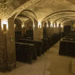 Le cattedrali sotterranee di Canelli, con volte in mattoni e file infinite di bottiglie, creano un'atmosfera suggestiva.