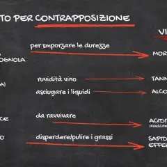 Appunti su food pairing: come abbinare cibo e vino per contrasto, bilanciando sapidità, acidità, untuosità e dolcezza con morbidezza, tannini, alcolicità e freschezza.