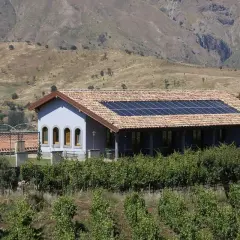A light blue building with solar panels on its tiled roof sits behind a vineyard, with a dry, hilly landscape in the background.