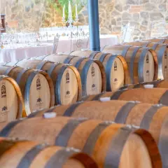 File di botti di legno in una cantina, pronte per l'affinamento. Un'esperienza unica di cantine con pernottamento.