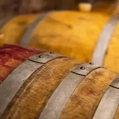 Botti di legno in cantina, pronte per la fermentazione alcolica spiegazione semplice.