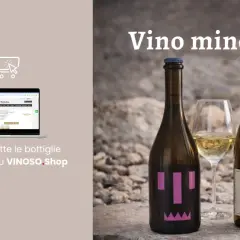 Vino minerale: due bottiglie e un bicchiere di vino bianco su uno sfondo roccioso. A sinistra, un laptop mostra il sito VINOSO.Shop.