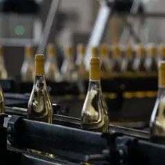 Bottiglie di vino bianco con tappi gialli su un nastro trasportatore, pronte per imbottigliare vino luna.