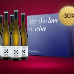 Sei bottiglie di Riesling Seckinger, con scatola "For the love of wine" e sconto del 30%. Tannico, il significato del buon vino.