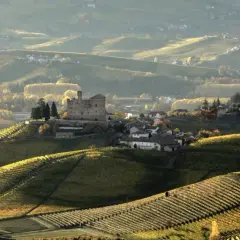 Colline vitate al tramonto, con un castello che domina la **cascina Pugnane**. L'autunno tinge di giallo e verde i vigneti terrazzati.