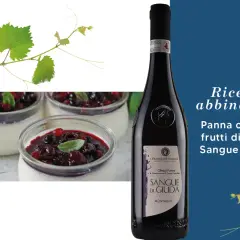 Panna cotta con frutti di bosco e un bicchiere di Sangue di Giuda, perfetti abbinamenti per un dolce.