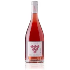 Bottiglia di vino rosato I'Salasso Terre del Castello, con etichetta bianca e grappolo d'uva stilizzato.