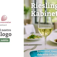 Riesling Kabinett: un vino fresco e leggero, perfetto per ogni occasione. Scopri il significato di questa etichetta e ordina subito il tuo.