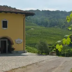 Tenuta Arnulfo, con la sua casa gialla e i vigneti a terrazze sulla costa di Bussia, incanta con la sua bellezza.