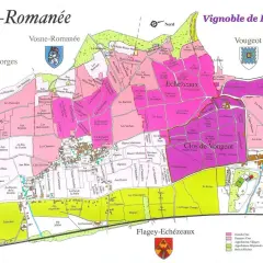 Mappa dei vigneti della Borgogna, con particolare attenzione a Vosne-Romanée e Vougeot. Il climat è dettagliato, mostrando la suddivisione dei cru.