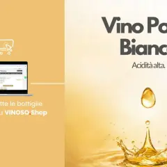 Vino Porto Bianco con alta acidità. Acquista bottiglie consigliate su VINOSO.Shop.