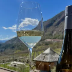 Glass of white wine and bottle with a mountain landscape and blue sky in the background.