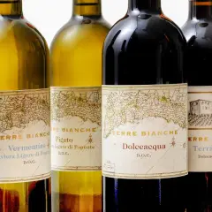 Bottiglie di vino Terre Bianche, con etichette che raffigurano mappe antiche e disegni di ville.