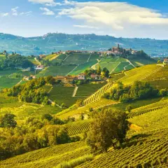Colline ondulate ricoperte di vigneti dorati, con borghi arroccati in lontananza. Un invito a visitare Langhe e scoprire la sua bellezza.