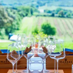 Bicchieri pronti per una degustazione di vini in un'azienda agricola con vista sui vigneti. Un'esperienza perfetta per scoprire dove fare degustazione vini.