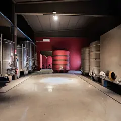 Cantine moderne con serbatoi in acciaio inox e botti, un ambiente pulito e funzionale per la produzione di vino, forse in un rinomato garetto.