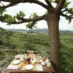Colazione con vista sui vigneti del Collio, un assaggio delle migliori cantine del collio friulano.