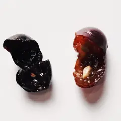 Due acini d'uva tagliati a metà, uno scuro e uno più chiaro, evocano la macerazione carbonica del vino.