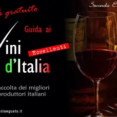 Guida ai vini d'Italia, ebook gratuito con eccellenti produttori. Scopri il vino IGT.