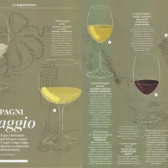 Vini e sapori d'Italia: un viaggio sensoriale con un persistente significato. Cinque tappe, cinque vini, cinque illustrazioni.