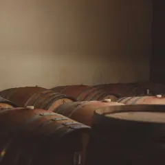 Cantina buia con numerosi tonneaux di rovere in attesa di maturare il vino.