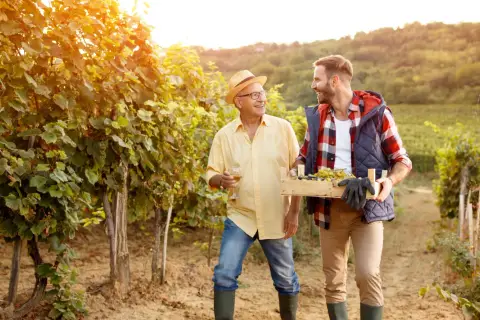 Padre e figlio sorridono tra i filari di vite, simbolo di una conduzione familiare che celebra il raccolto.