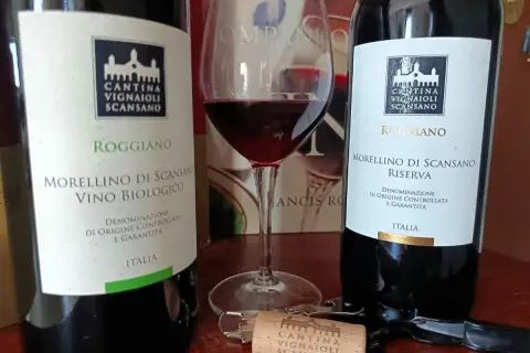Due bottiglie di Morellino di Scansano e un calice di vino rosso, pronti per celebrare il santo del vino.
