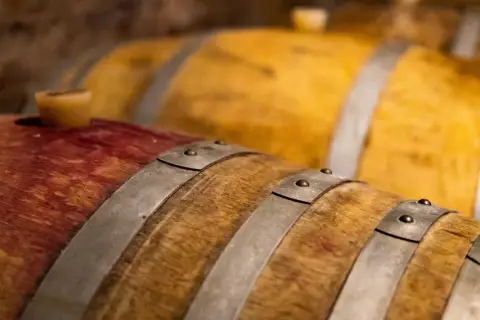 Botti di legno in cantina, pronte per la fermentazione alcolica spiegazione semplice.