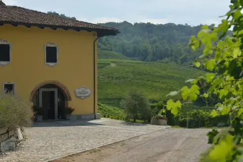 Tenuta Arnulfo, con la sua casa gialla e i vigneti a terrazze sulla costa di Bussia, incanta con la sua bellezza.
