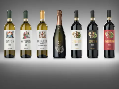 Malvirà - Guida completa alla cantina del Roero