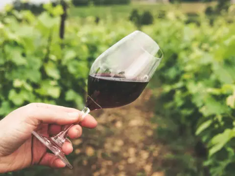 Macchia nel vino - Difetto o evoluzione? La guida completa